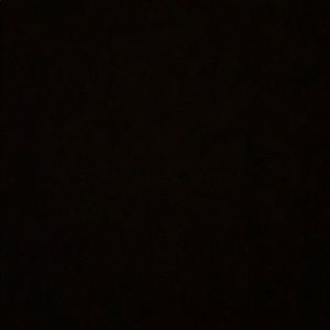 Meet your Posher, Celine